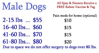 MaleDogs.jpg