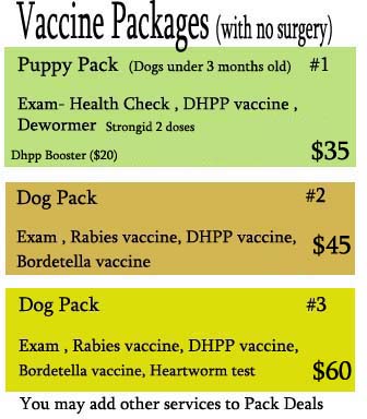 lyme vaccine side effects the rabies vaccine for dogs and cats what you need to html autos weblog lyme vaccine side effects the rabies vaccine for dogs and cats what you need to html autos weblog