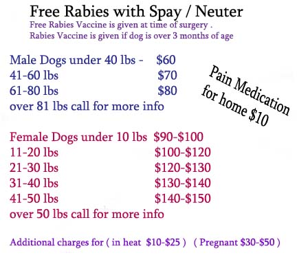 NEWK9SN.jpg