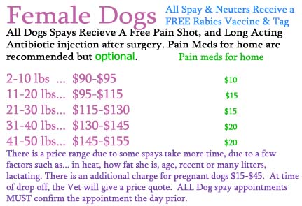 dogspays.jpg