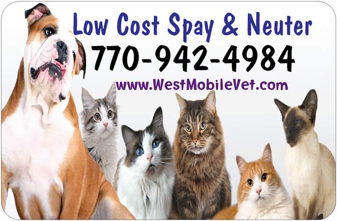 low cost mobile pet clinic